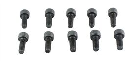 Cap Head Bolt M4X10 (10)