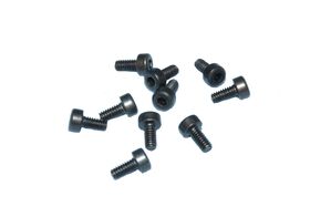 Cap Head Bolt M2x4 (10)